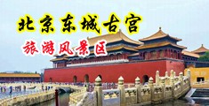 91中文字幕第一区中国北京-东城古宫旅游风景区